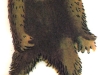0042 0042