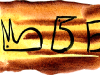 30 30