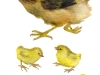 005 005