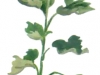 08 08