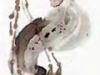 p0018 p0018