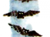 p0076 p0076