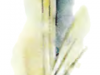 p0080 p0080