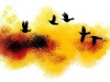 p0010 p0010