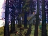 p0005 p0005