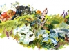 img017 img017