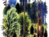 p0043 p0043