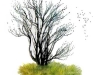 p0050 p0050
