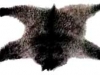 p0052 p0052