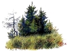 p0073 p0073