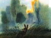 5 5